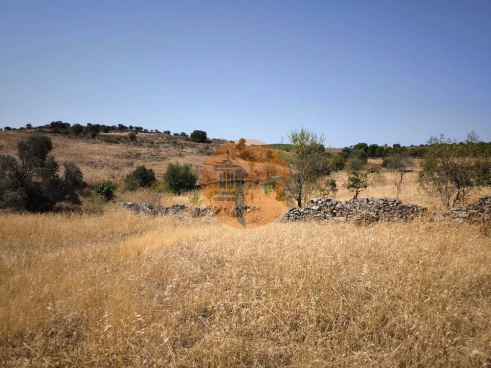 Terreno para Venda em Alcoutim e Pereiro Foto 18