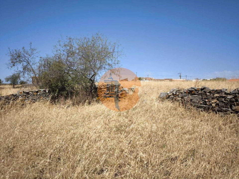 Terreno para Venda em Alcoutim e Pereiro Foto 19
