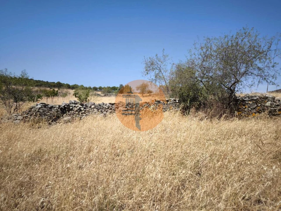 Terreno para Venda em Alcoutim e Pereiro Foto 20