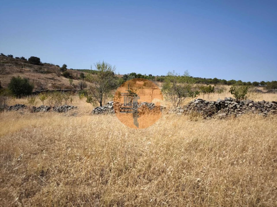 Terreno para Venda em Alcoutim e Pereiro Foto 21