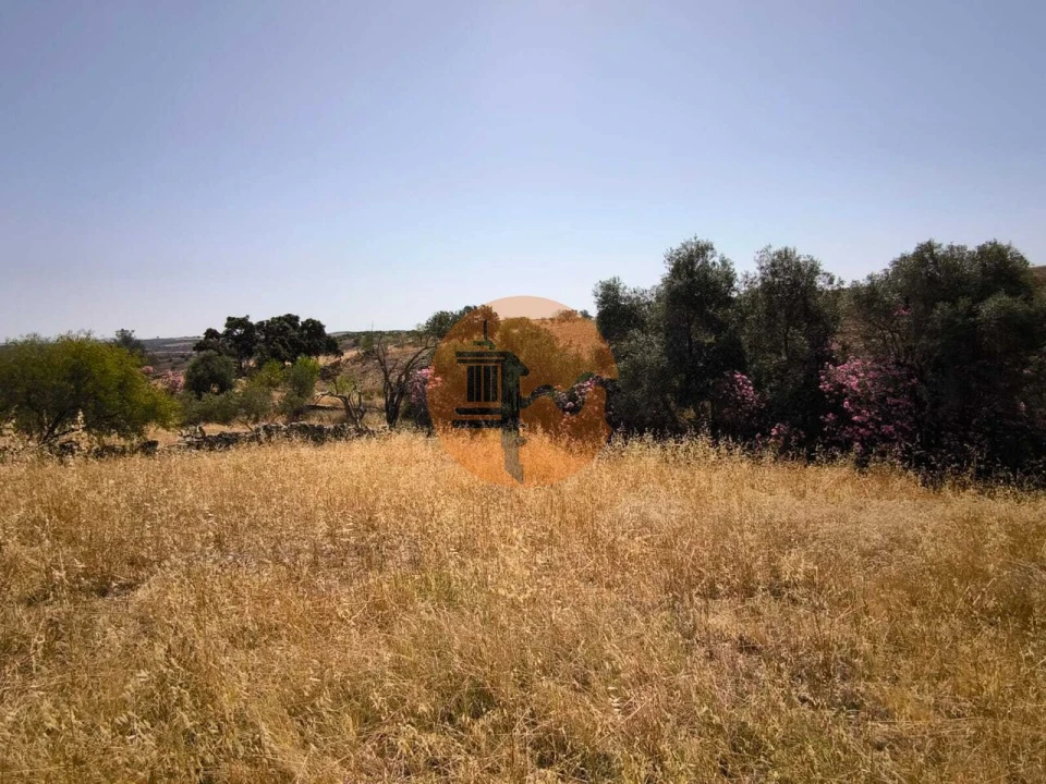 Terreno para Venda em Alcoutim e Pereiro Foto 27