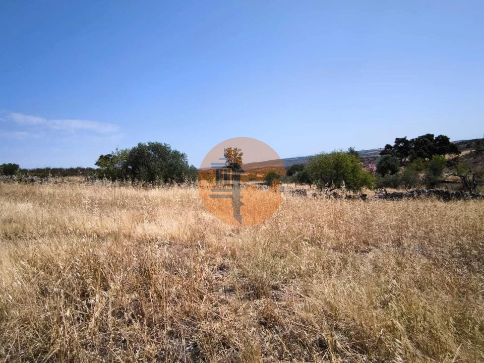 Terreno para Venda em Alcoutim e Pereiro Foto 28