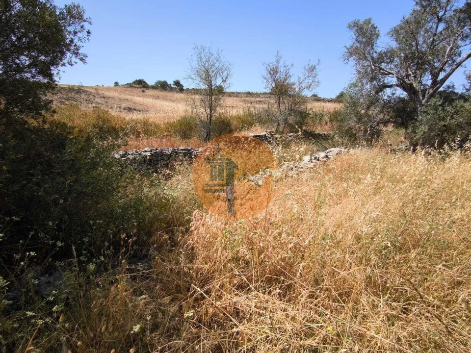 Terreno para Venda em Alcoutim e Pereiro Foto 30