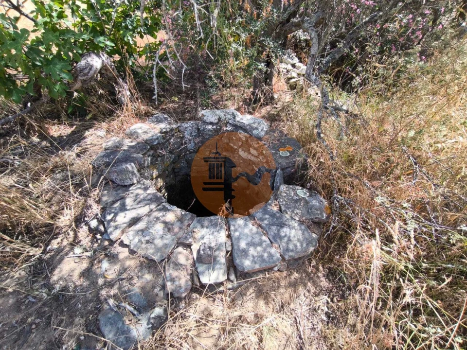 Terreno para Venda em Alcoutim e Pereiro Foto 13