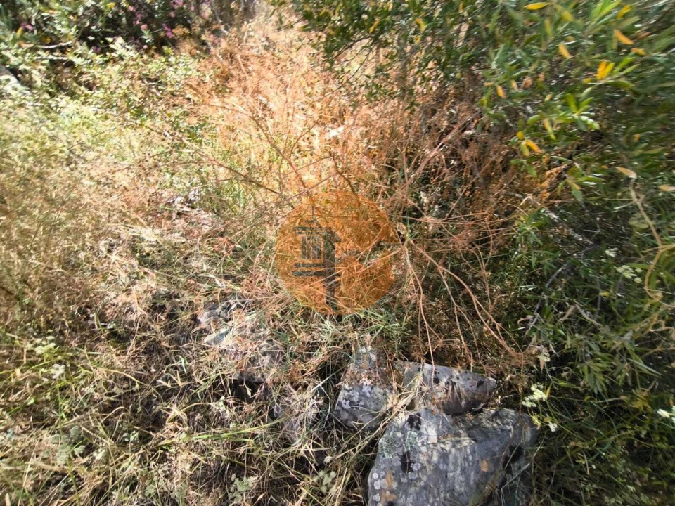 Terreno para Venda em Alcoutim e Pereiro Foto 36