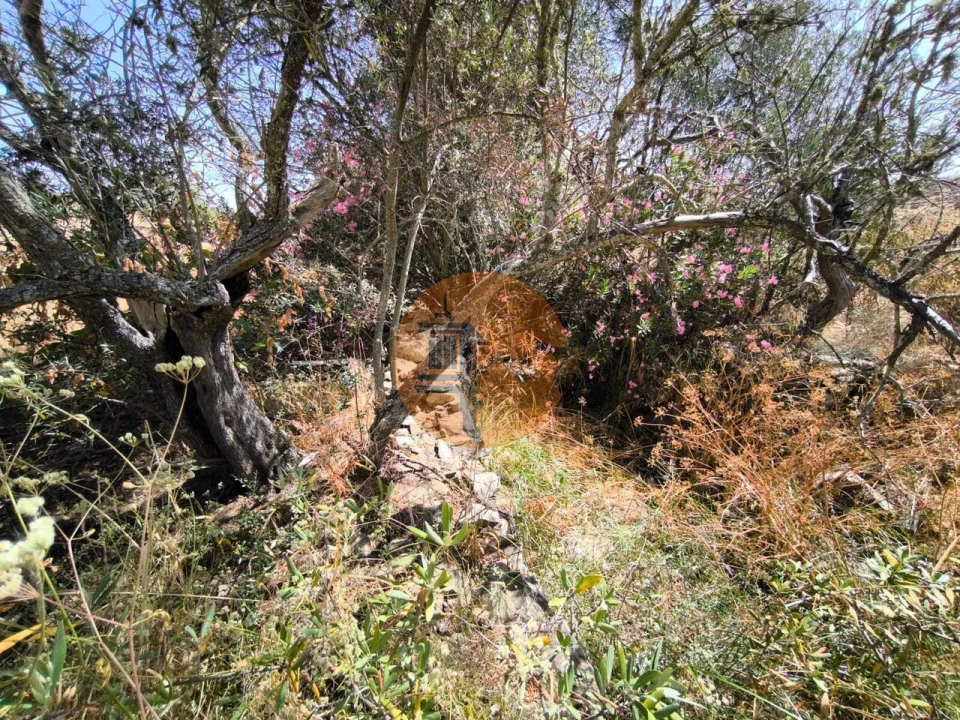 Terreno para Venda em Alcoutim e Pereiro Foto 37
