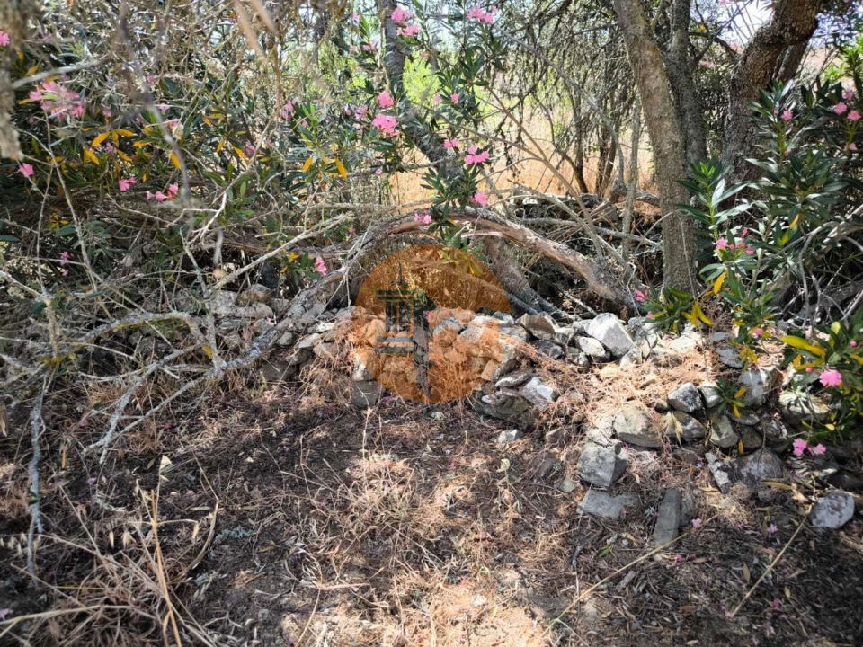 Terreno para Venda em Alcoutim e Pereiro Foto 44