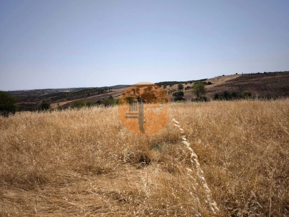 Terreno para Venda em Alcoutim e Pereiro Foto 47