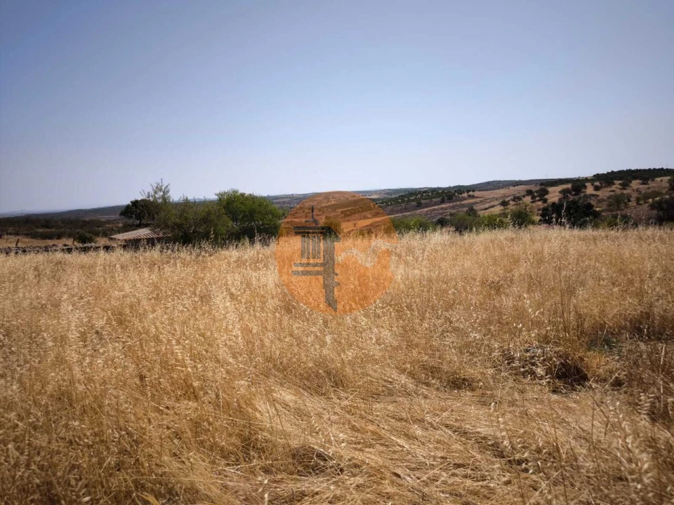 Terreno para Venda em Alcoutim e Pereiro Foto 48