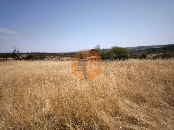 Terreno para Venda em Alcoutim e Pereiro Foto 6