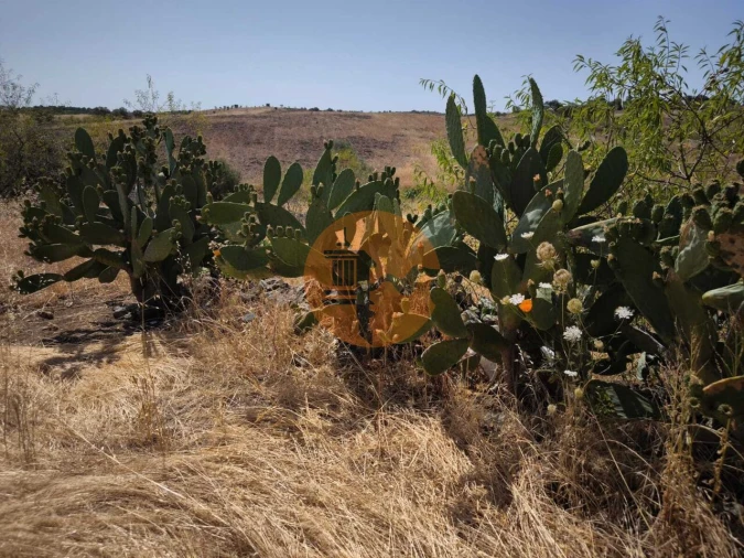 Terreno para Venda em Alcoutim e Pereiro Foto 23