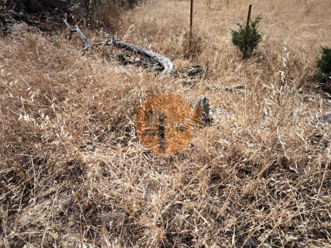 Terreno para Venda em Alcoutim e Pereiro Foto 8