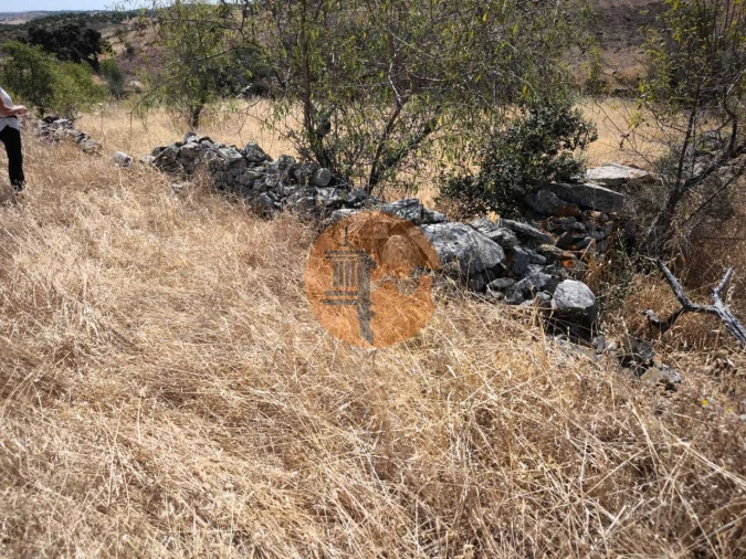 Terreno para Venda em Alcoutim e Pereiro Foto 9