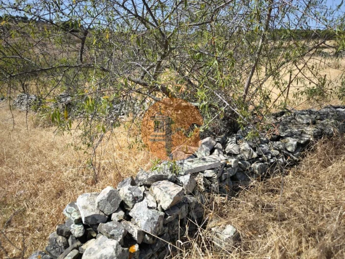 Terreno para Venda em Alcoutim e Pereiro Foto 10