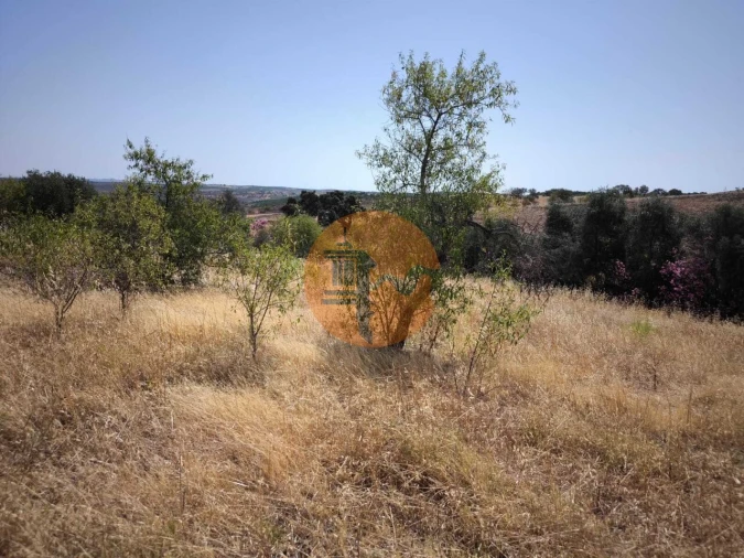 Terreno para Venda em Alcoutim e Pereiro Foto 12