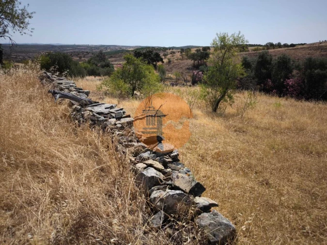 Terreno para Venda em Alcoutim e Pereiro Foto 14