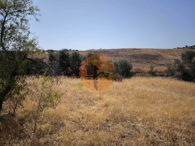 Terreno para Venda em Alcoutim e Pereiro Foto 16