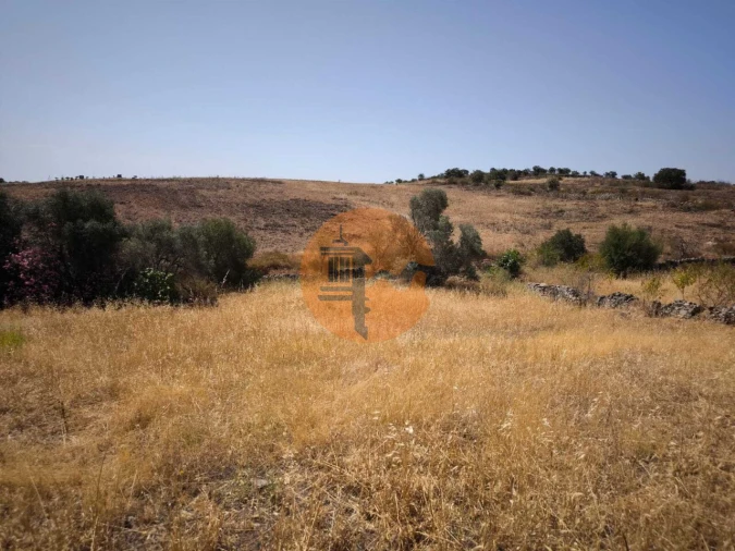 Terreno para Venda em Alcoutim e Pereiro Foto 17