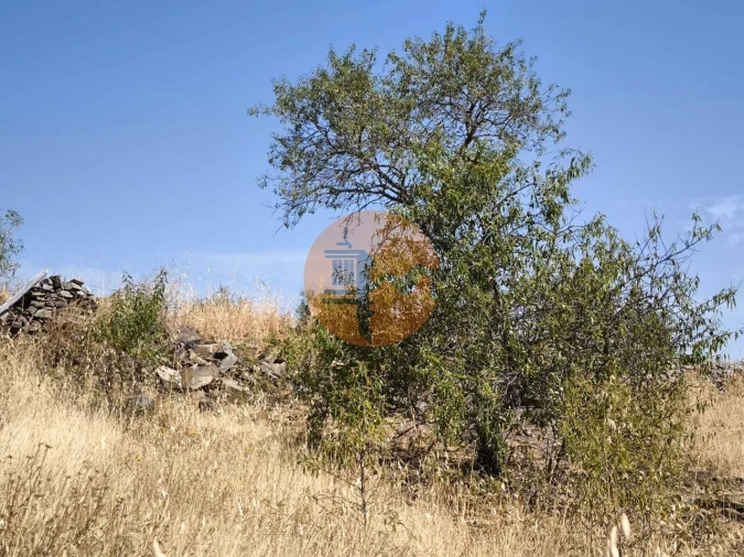 Terreno para Venda em Alcoutim e Pereiro Foto 22