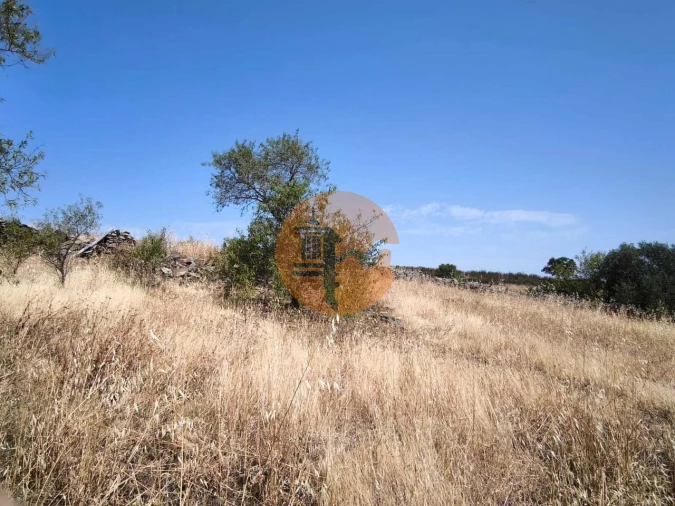 Terreno para Venda em Alcoutim e Pereiro Foto 24
