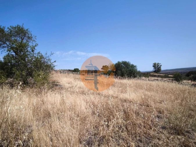 Terreno para Venda em Alcoutim e Pereiro Foto 25