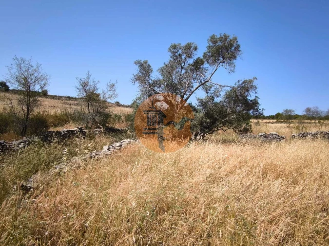 Terreno para Venda em Alcoutim e Pereiro Foto 31