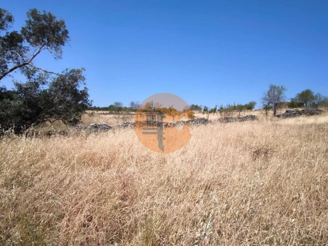 Terreno para Venda em Alcoutim e Pereiro Foto 32