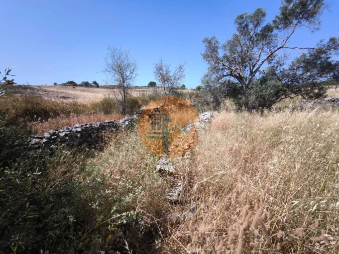 Terreno para Venda em Alcoutim e Pereiro Foto 35