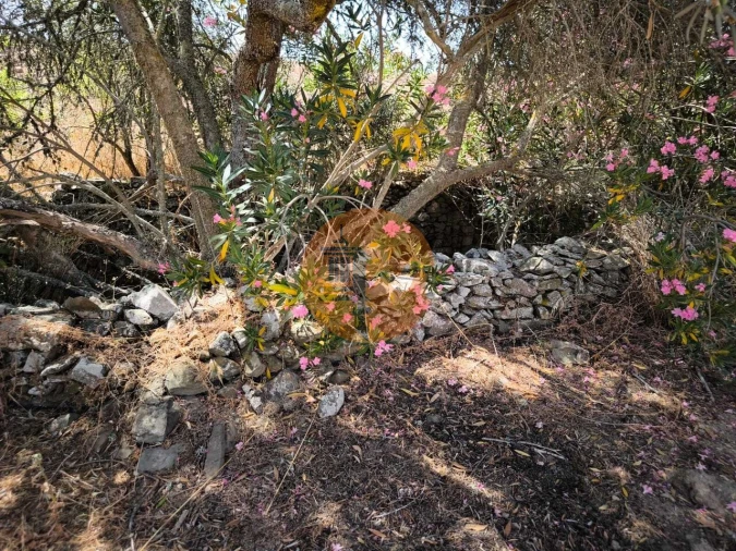 Terreno para Venda em Alcoutim e Pereiro Foto 3
