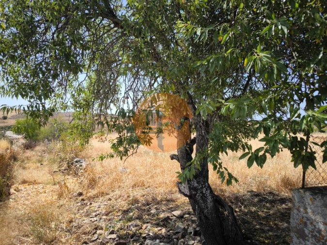 Terreno para Venda em Alcoutim e Pereiro Foto 1