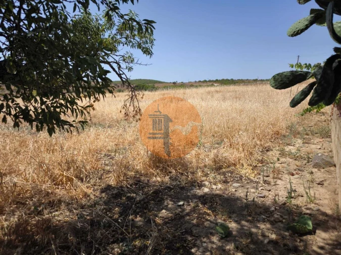 Terreno para Venda em Alcoutim e Pereiro Foto 43