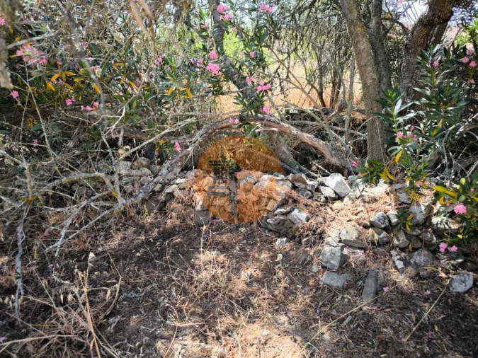 Terreno para Venda em Alcoutim e Pereiro Foto 44