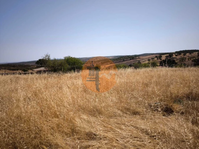 Terreno para Venda em Alcoutim e Pereiro Foto 48