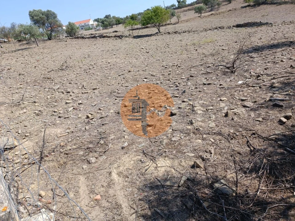 Terreno para Venda em Alcoutim e Pereiro Foto 7