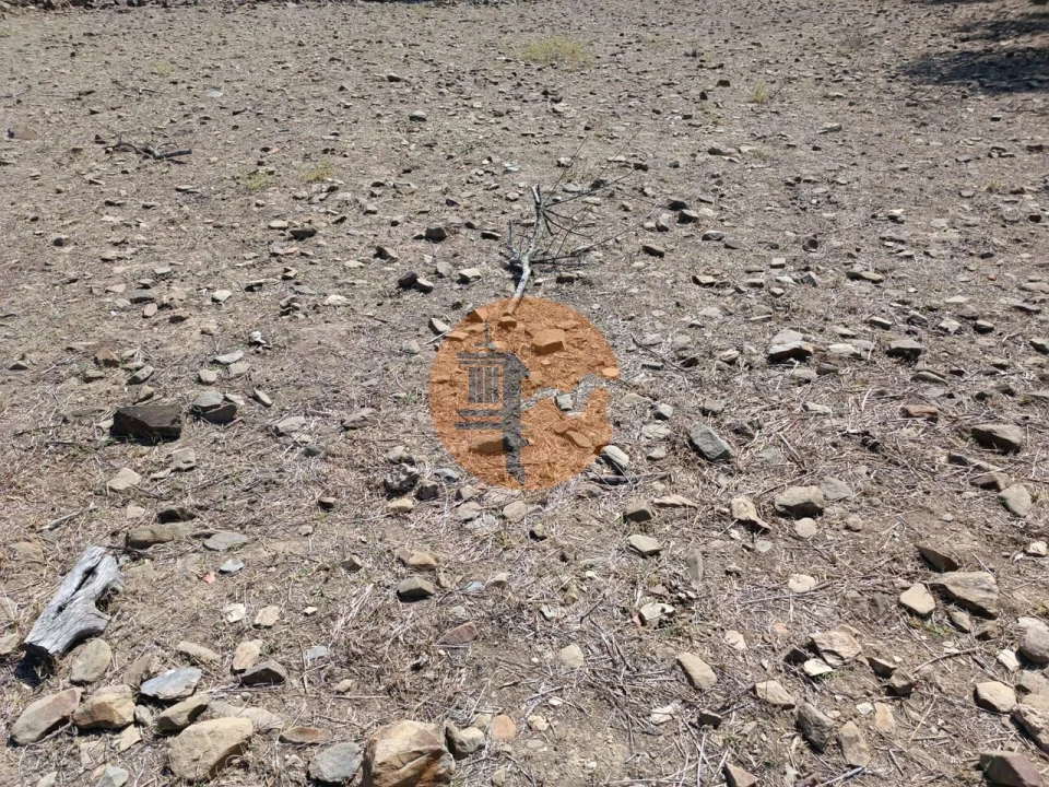 Terreno para Venda em Alcoutim e Pereiro Foto 11