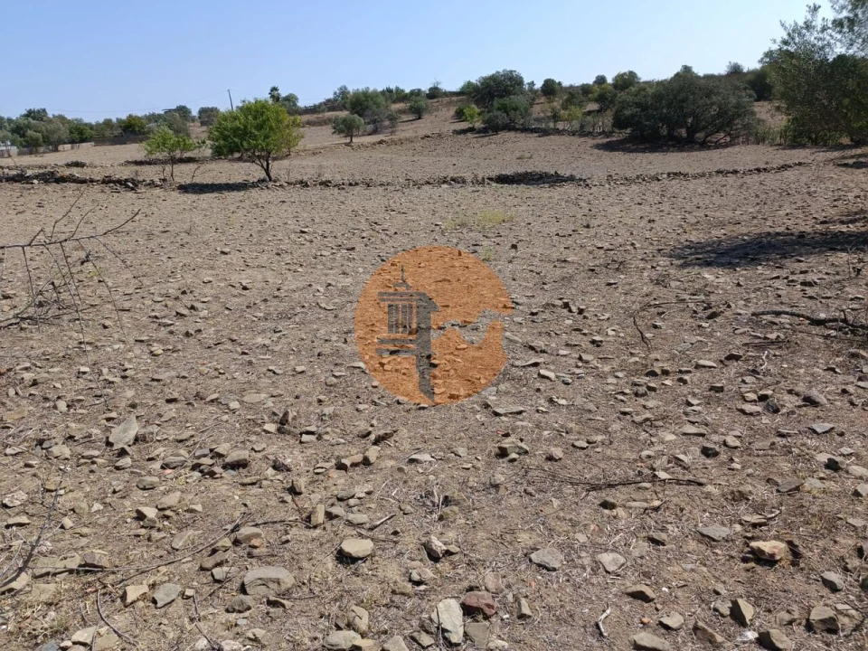 Terreno para Venda em Alcoutim e Pereiro Foto 15