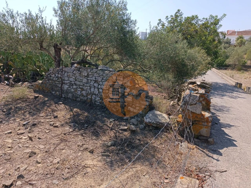 Terreno para Venda em Alcoutim e Pereiro Foto 5