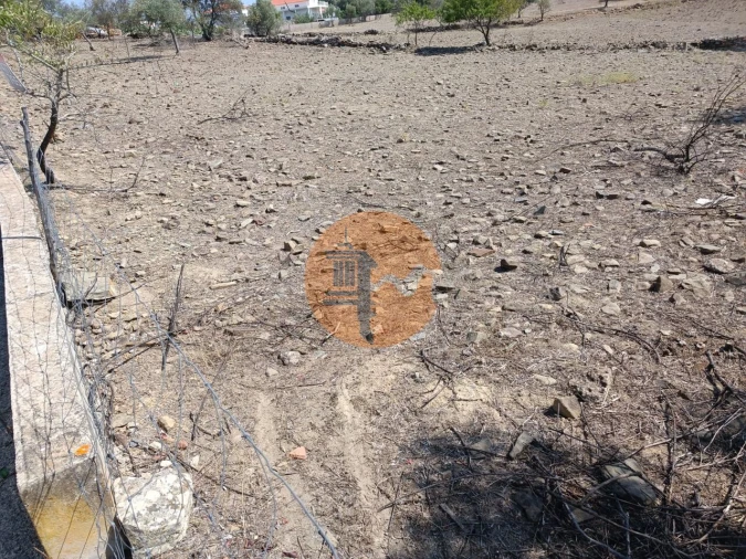 Terreno para Venda em Alcoutim e Pereiro Foto 6