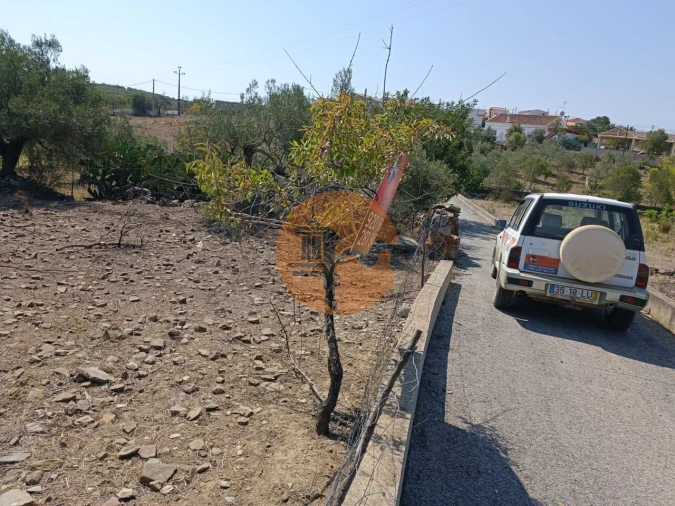 Terreno para Venda em Alcoutim e Pereiro Foto 9
