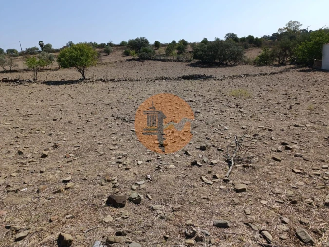 Terreno para Venda em Alcoutim e Pereiro Foto 10