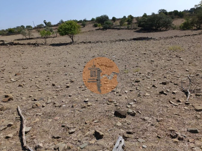 Terreno para Venda em Alcoutim e Pereiro Foto 14