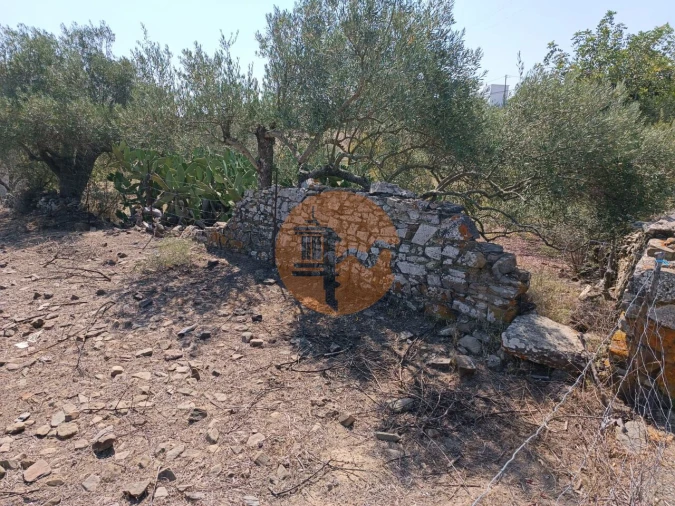 Terreno para Venda em Alcoutim e Pereiro Foto 13
