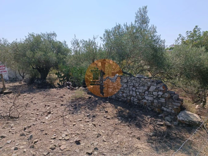 Terreno para Venda em Alcoutim e Pereiro Foto 18