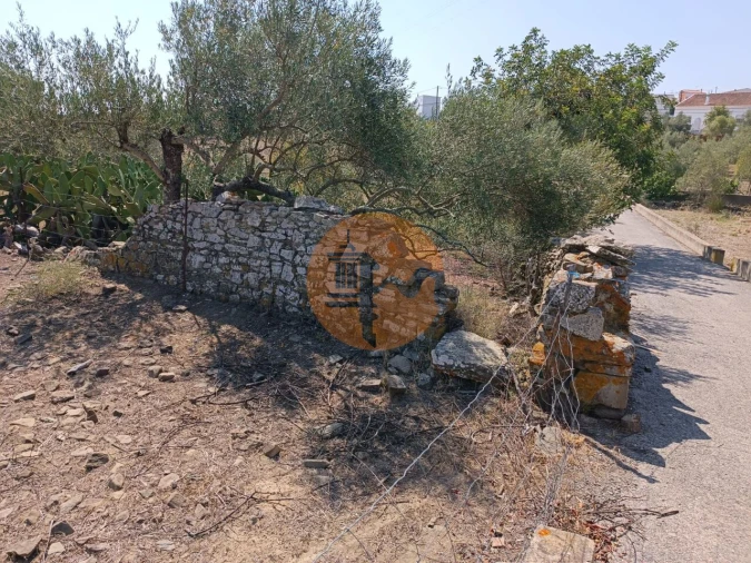 Terreno para Venda em Alcoutim e Pereiro Foto 5