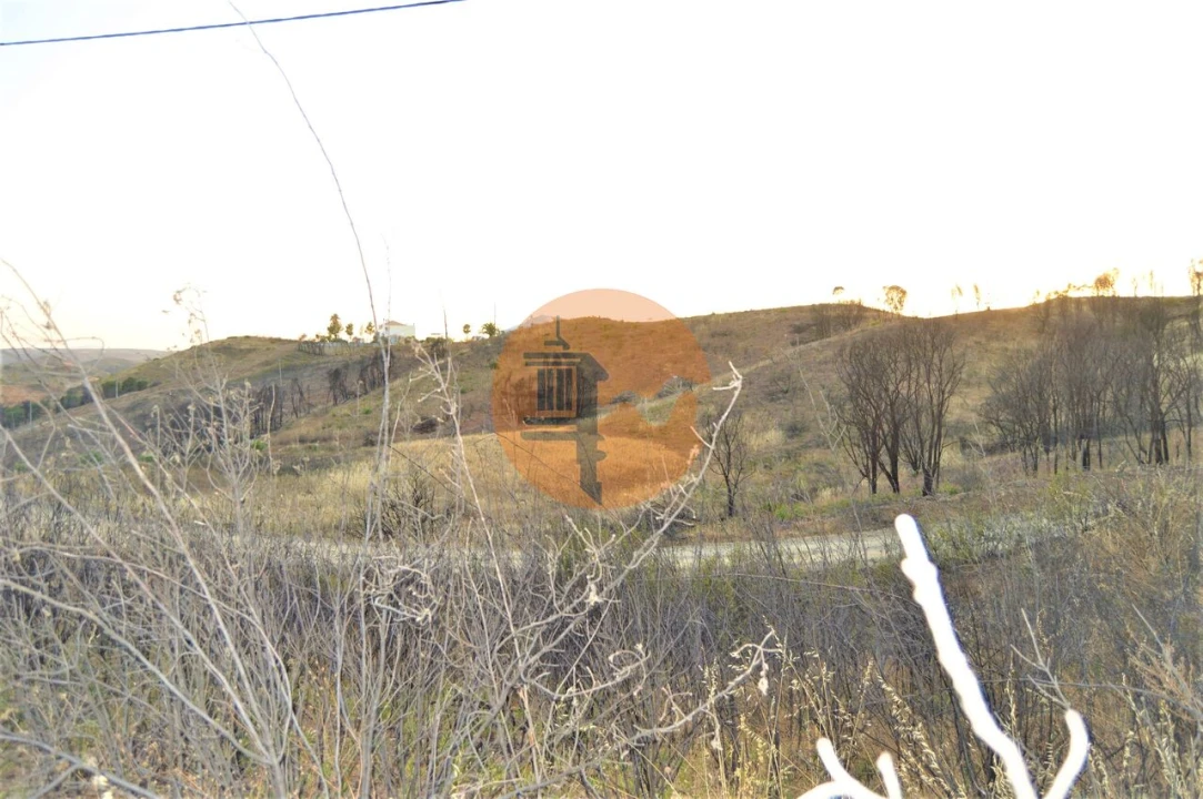 Terreno para Venda em Conceição e Cabanas de Tavira Foto 5
