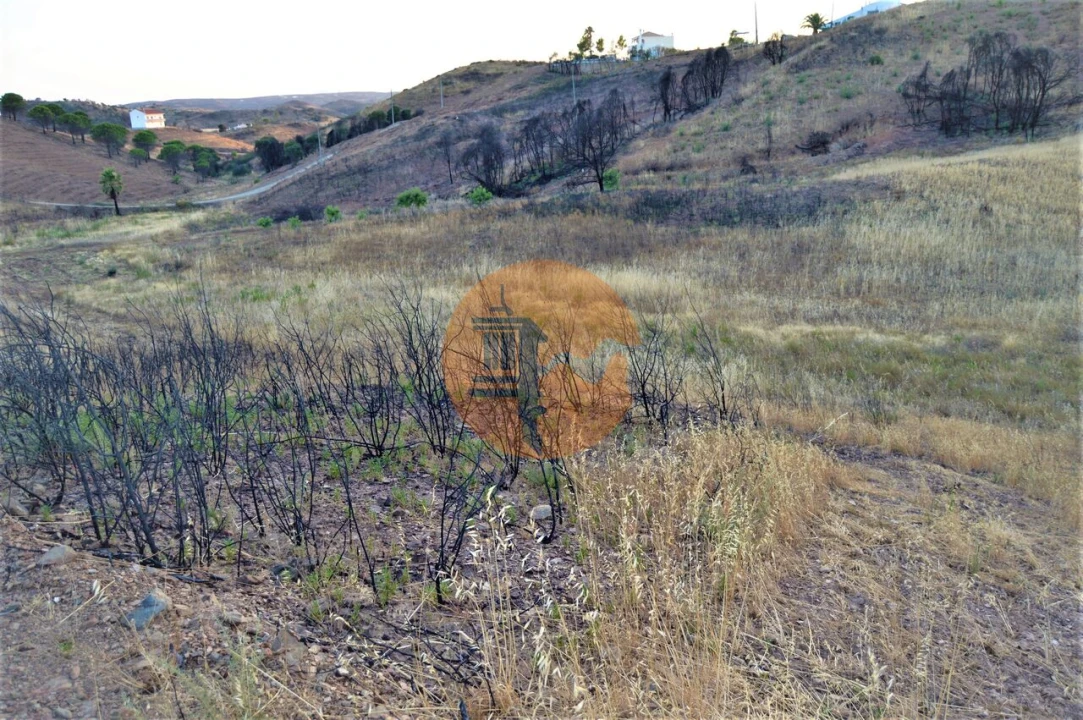 Terreno para Venda em Conceição e Cabanas de Tavira Foto 7