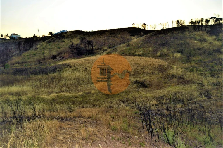 Terreno para Venda em Conceição e Cabanas de Tavira Foto 8