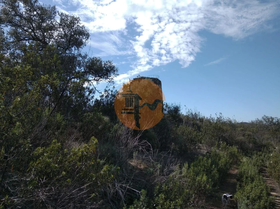 Quinta T0 para Venda em Alcoutim e Pereiro Foto 8
