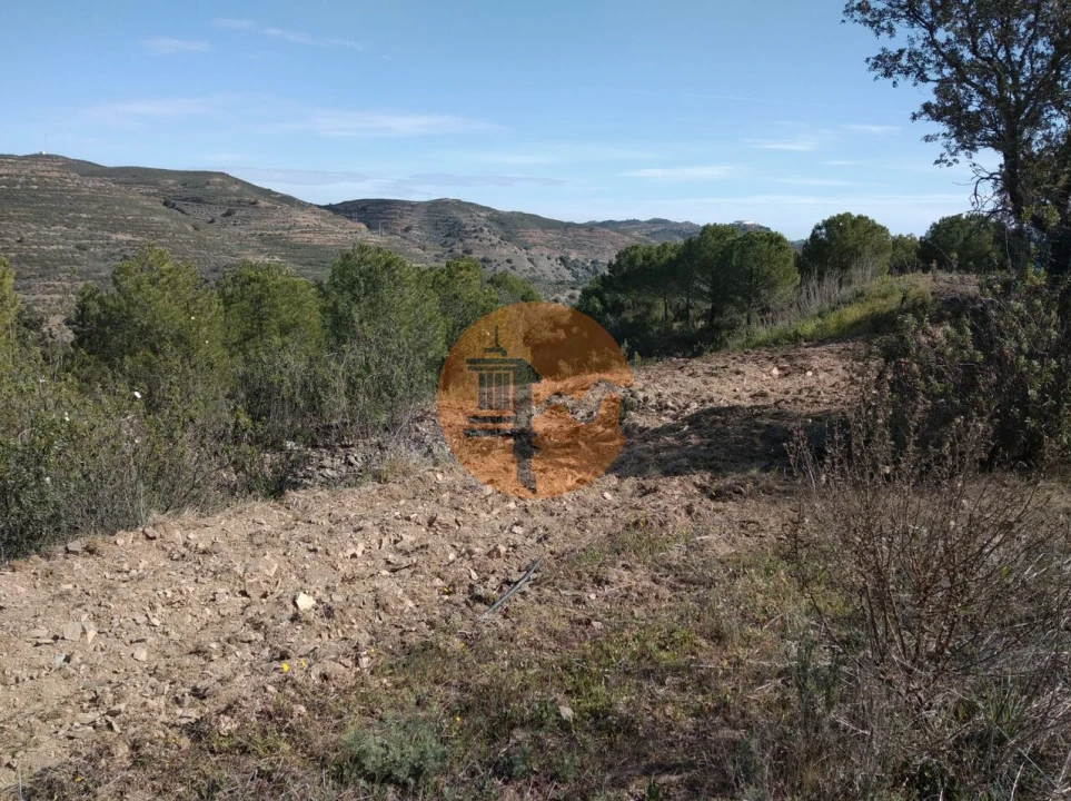 Quinta T0 para Venda em Alcoutim e Pereiro Foto 14