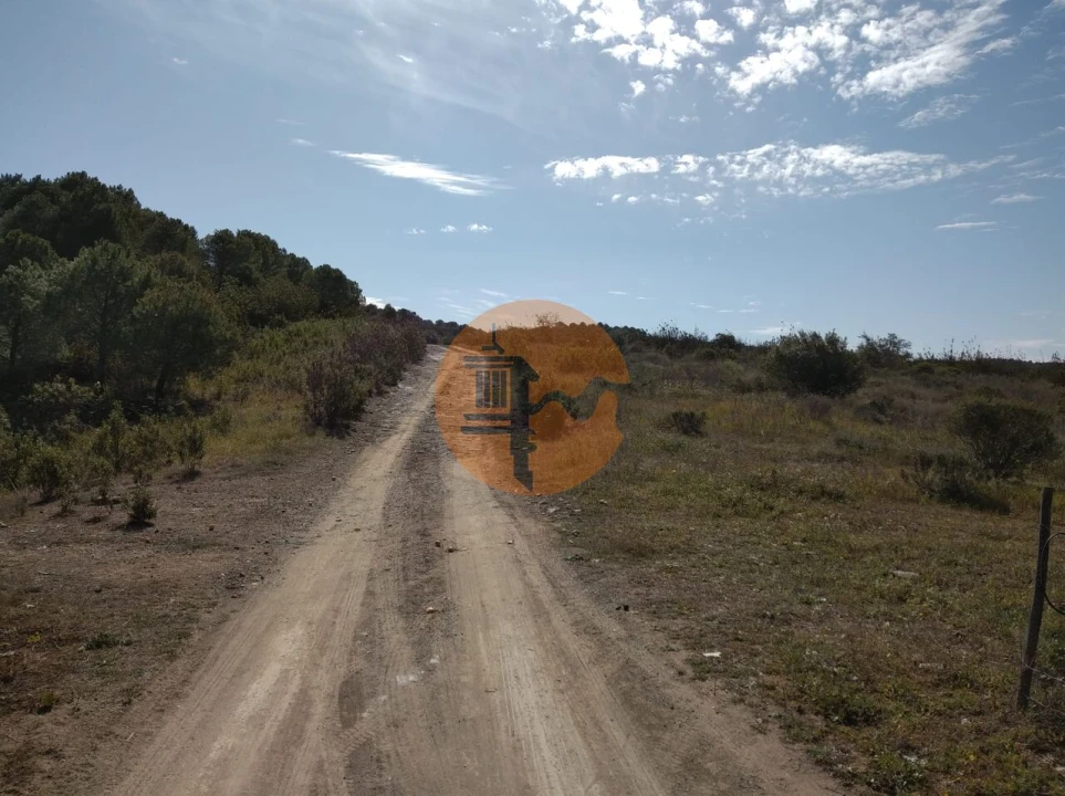 Quinta T0 para Venda em Alcoutim e Pereiro Foto 19